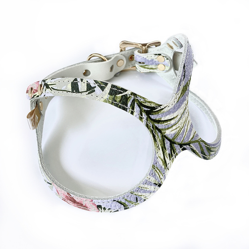 BUDDY BELT.「バディーバハマ」　2,5号 バディーベルト情報 バディーベルト（リングハーネス）の販売・ドッグ